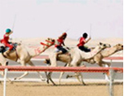 Al Dhafra Festival